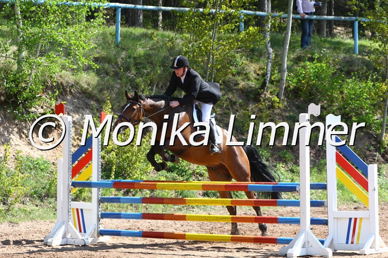 004M1785_Cantorio_Springpferde A xx.JPG